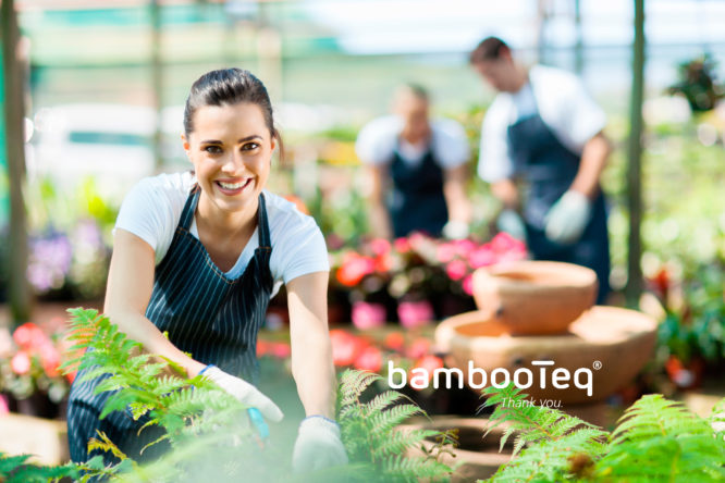 VGH leden die werken met bamboe van BambooTeq.